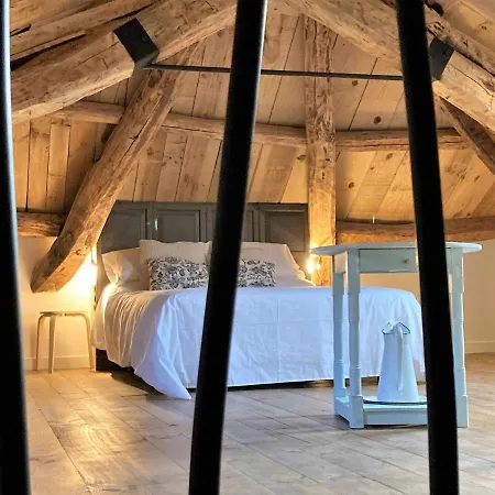 Estrella Del Sil Corbon del Sil