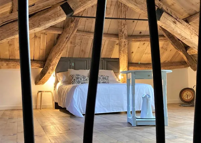 Estrella Del Sil Corbon del Sil